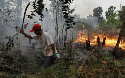 Delapan Kecamatan di Bengkalis Ditemukan Titik Api