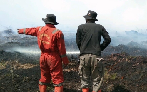 Sejak Januari, 1.219 Hektar Hutan dan Lahan di Riau Terbakar