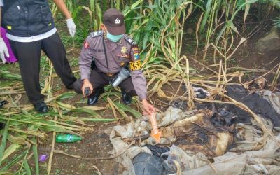 Katelin Temukan Kerangka Manusia di Kebun Jagung