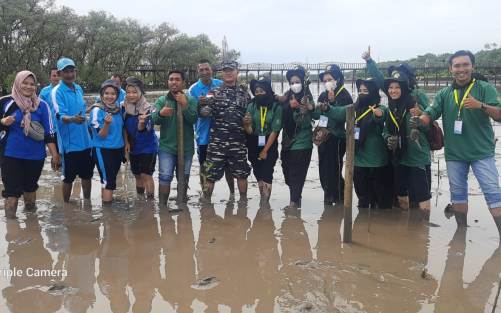 Hari Mangrove, Warga dan Mahasiswa Tanam Mangrove di Muntai