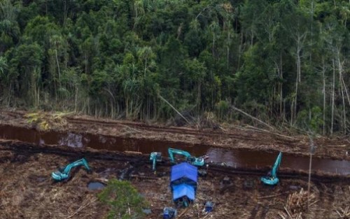 YRHW Minta Kementrian LHK Ukur Ulang Konsesi PT RAPP