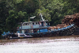 Warga Sandera Ponton Pengangkut Kayu RAPP