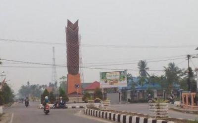 Ditinggal Jokowi, Riau Kembali Ditumbuhi 5 Hotspot