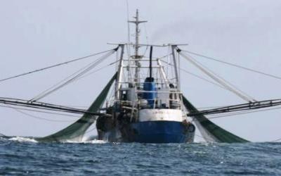 DKP Klaim Illegal Fishing di Papua Menurun