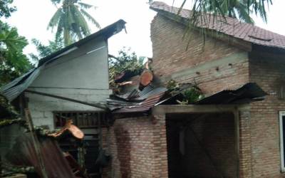 Rumah Suriono Tertimpa Pohon Durian Akibat Angin Kencang