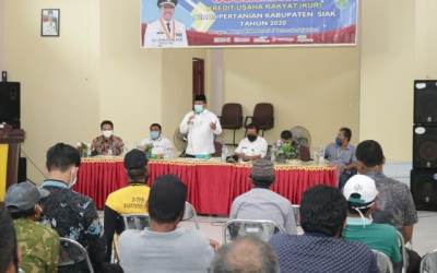 Bupati Siak Ajak Petani Manfaatkan Modal Usaha KUR