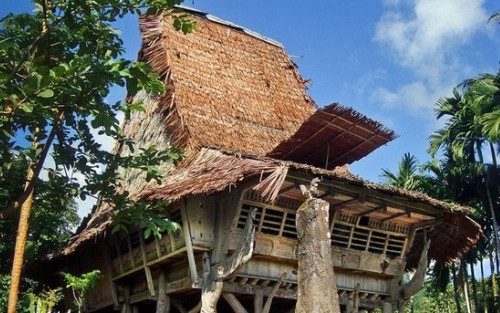 Mengenal Tiga Rumah Tradisional di Pulau Nias, Perbedaan dan Filosofinya