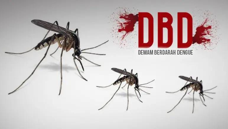 DBD di Meranti Memakan Korban