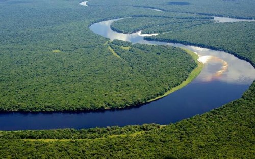 Sungai Kongo, Sungai Terdalam di Dunia yang Melintasi 9 Negara 