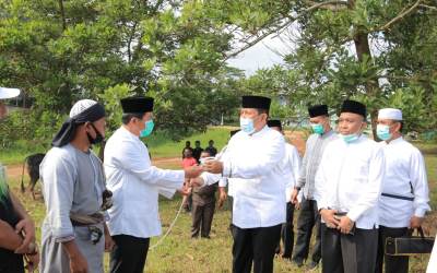 Ditengah Pandemi, Hewan Qurban di Rohul Meningkat