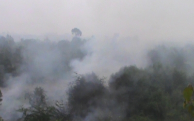RAPP Diminta Peduli Akibat Dampak Kabut Asap