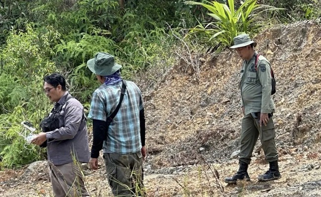 Perambah 300 Hektar Kawasan Hutan Diamankan Polres Inhu, Keuntungan Rp1,67 Miliar