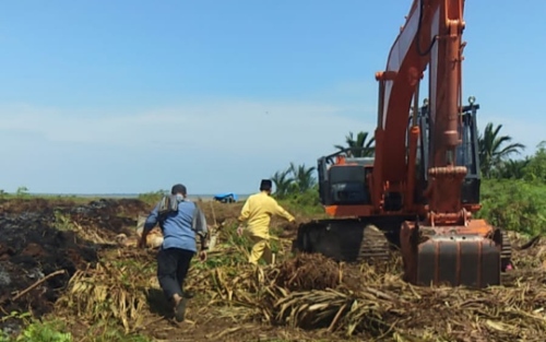 PT TUM Rusak Ekosistem Gambut di Kuala Kampar