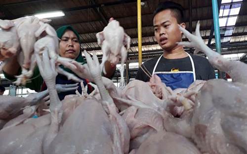 Jelang Ramadan, Harga Daging Ayam Ikut Merangkak Naik