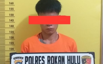 Cabuli ABG, Pemuda Kasang Mungkal Dibekuk Polisi