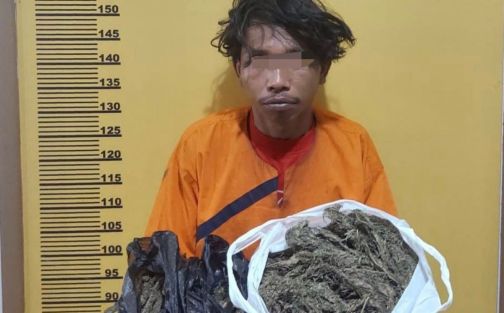 Simpan 950 Gram Ganja Kering, Soerang Pria di Inhu Masuk Bui