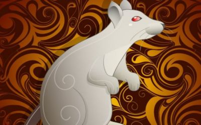 Warna Keberuntungan Shio Anda di Tahun Tikus Logam!