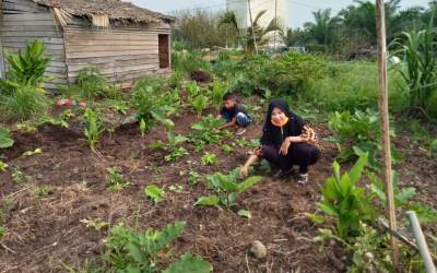 Pandemi Covid-19, TP PKK Palika Gerakan Tanaman Pangan