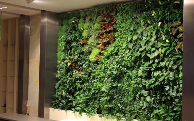 Cara Mudah Bikin Vertical Garden di Rumah 