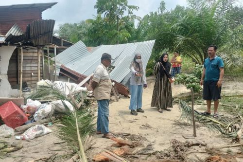 Seekor Gajah Masuk Pemukiman, Rumah Warga di Bati Solopan Bengkalis Dirusak