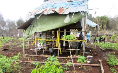 RAPP Akan Bangun Tanaman Kehidupan di Kawasan 'Haram'