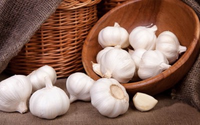 BPTP Siapkan Budi Daya Bawang Putih