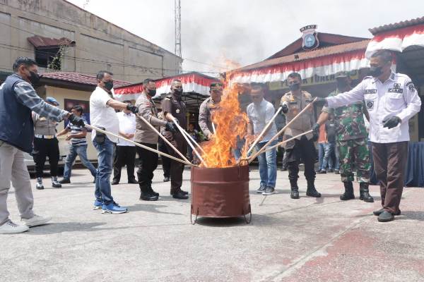 Polres Siak Bakar 7 Kg  Daun Ganja Kering Siap Edar