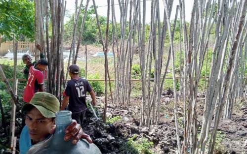 Polres Rohil dan Kejari Diminta Periksa DD Panipahan Darat