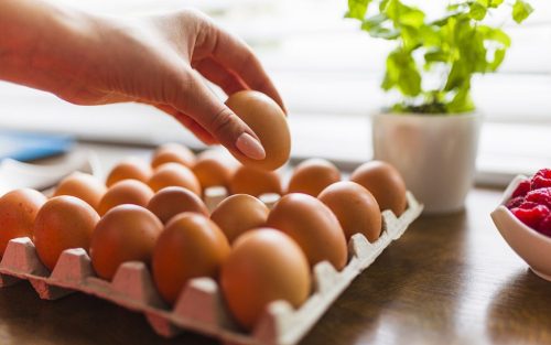 Tips Memilih Telur yang Baik dan Cara Menyimpannya 