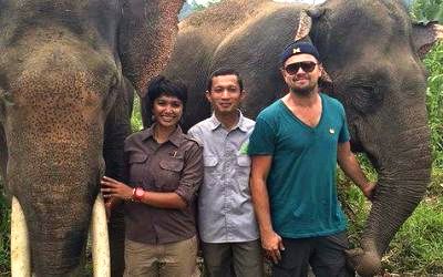 Leonardo DiCaprio Terancam Dideportasi dari Indonesia