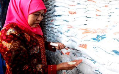 Sebelum Dibagikan, Kepala Daerah Diminta Cek Kualitas Raskin