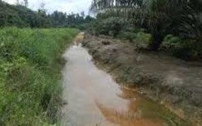 PT LIH Pelalawan Babat Hutan Pinggir Anak Sungai