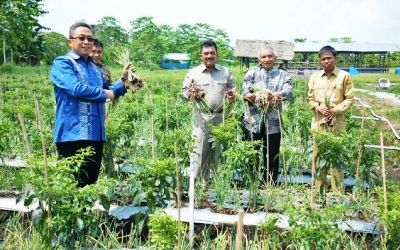 Amin Rais Kagum dengan Program Jefry Noer di P4S