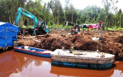 PT RAPP Gasak Hutan Gambut Luar Konsesi di Pulau Padang