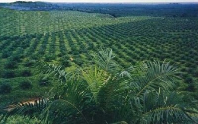 Omnibus Law, Pengelolaan Lahan Jadi 90 Tahun