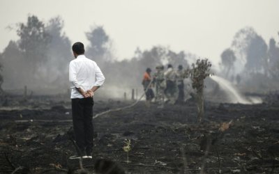 Jokowi Batal ke Kampar Tapi ke Bunut Pelalawan