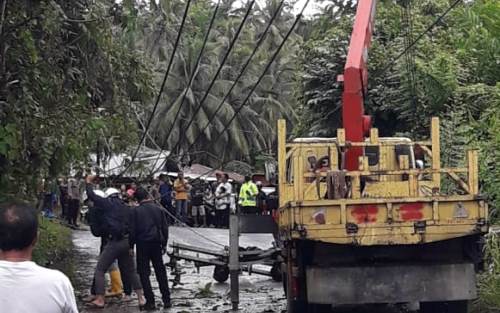 Pohon Kelapa Timpa Tiang Listrik dan Tutupi Jalan di Afia