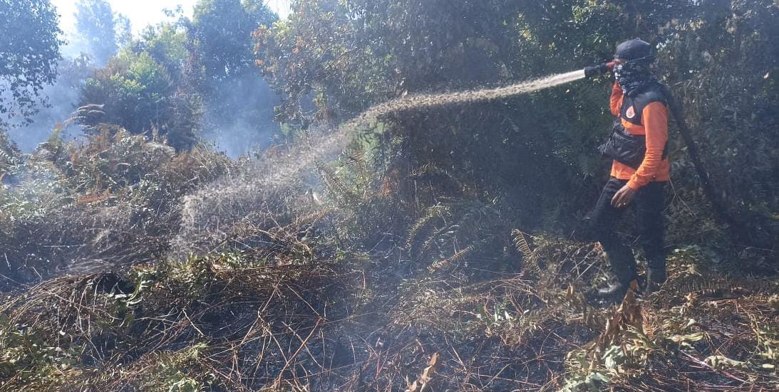 Karhutla di Tiga Kecamatan di Meranti Berhasil Dipadamkan