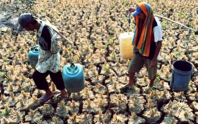 Kemarau Akan Melanda Hampir Seluruh Wilayah Indonesia