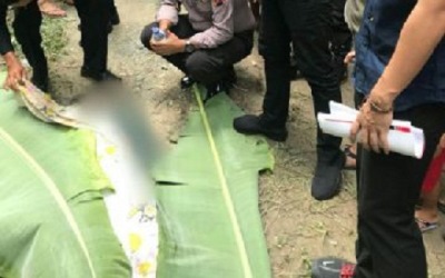 Heboh Tukang Kredit Keliling Dibunuh Perampokan