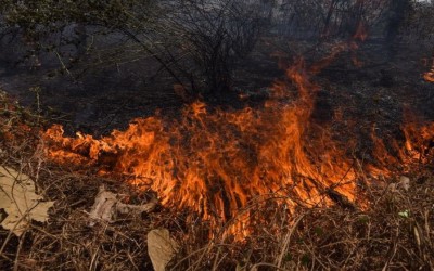 Ini Daerah yang Muncul Titik Api di Riau 