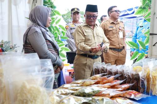 Dinas Ketahanan Pangan Kab. Siak Taja Festival Pangan Lokal