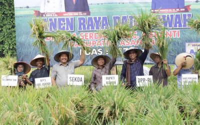 Plt Bupati Asahan Laksanakan Panen Raya di Serdang