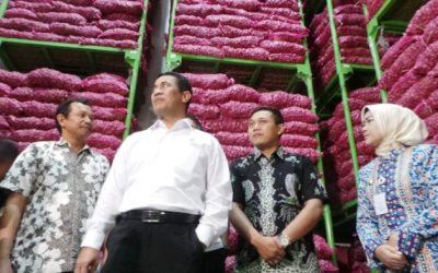 Indonesia Ekspor 5.600 Ton Bawang Merah ke Thailand