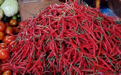 Harga Cabai dan Telur Ayam Kembali Terus Mendaki