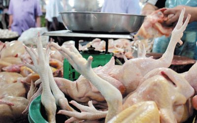 Harga Ayam di Pekanbaru Melonjak, Jelang Tahun Baru