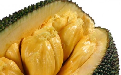 Manfaat Nangka Dapat Cegah Kanker 