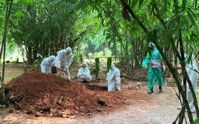 Kasus Covid-19 di Riau Hari ini Bertambah 282 Orang