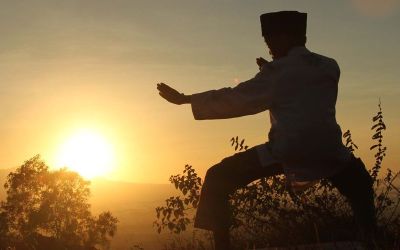 Pencak Silat Bakal jadi Warisan Budaya Dunia