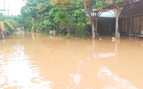 Banjir di Rambah Samo, Ratusan Rumah Warga Terendam Hingga 2 Meter